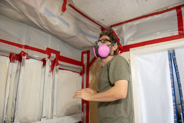 Waldorf, MD Mold Removal Company